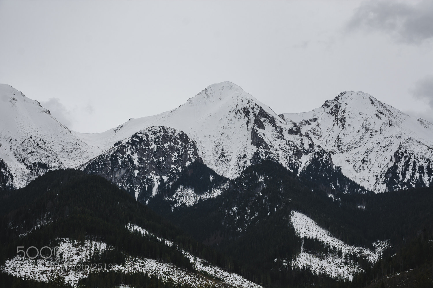Nikon D7100 sample photo. Belianské tatry photography