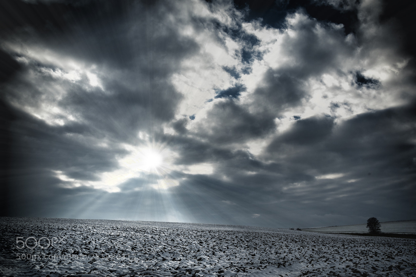 Nikon D7500 sample photo. Snowy field with cloudy photography
