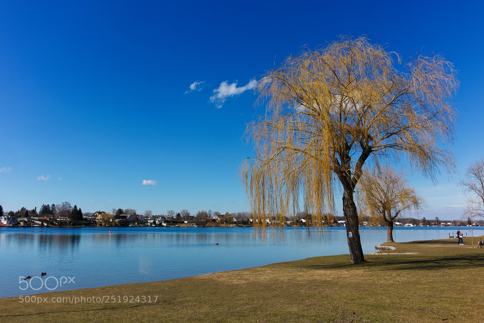 Canon EOS M6 sample photo. Neufeldersee photography