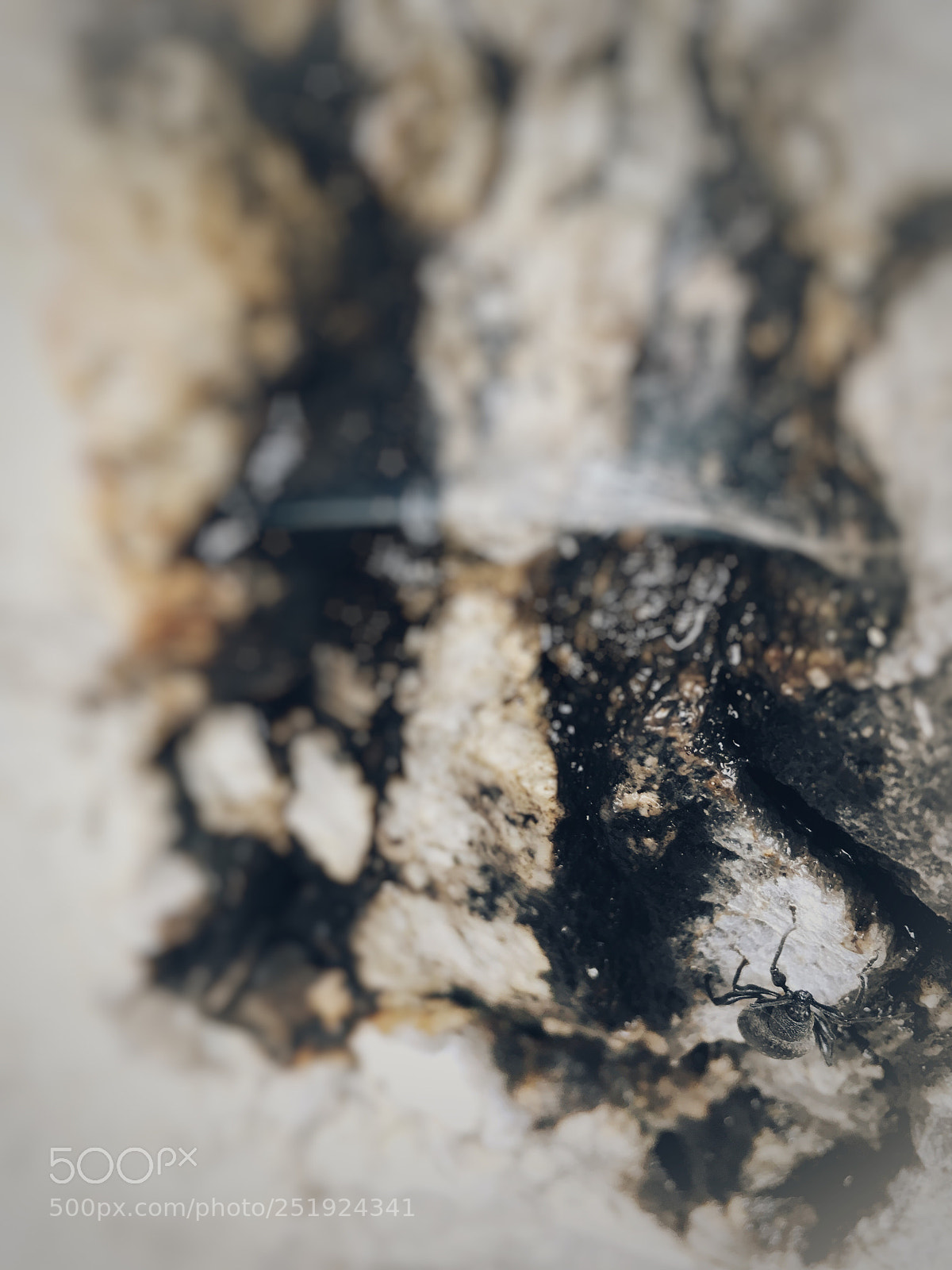 Apple iPhone 6s sample photo. Untitled photography