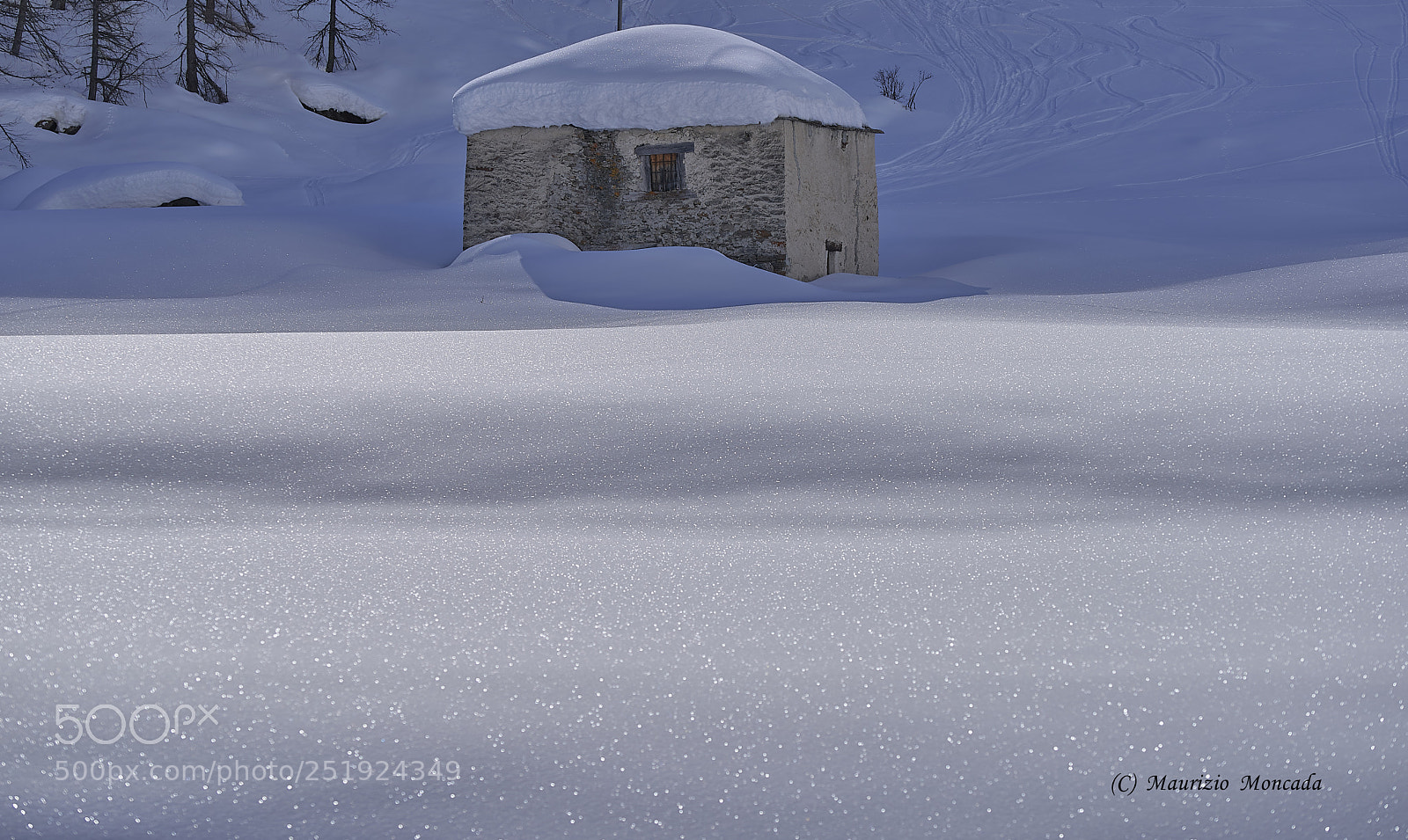 Sony a9 sample photo. Valsavarenche- aosta-italy camosci photography