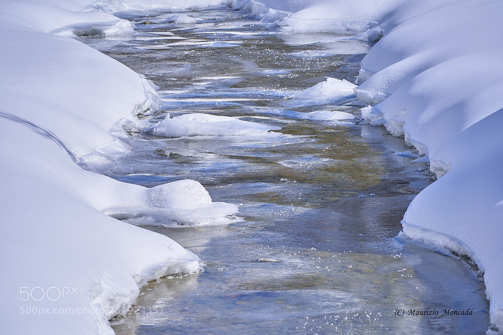 Sony a9 sample photo. Valsavarenche- aosta-italy camosci photography