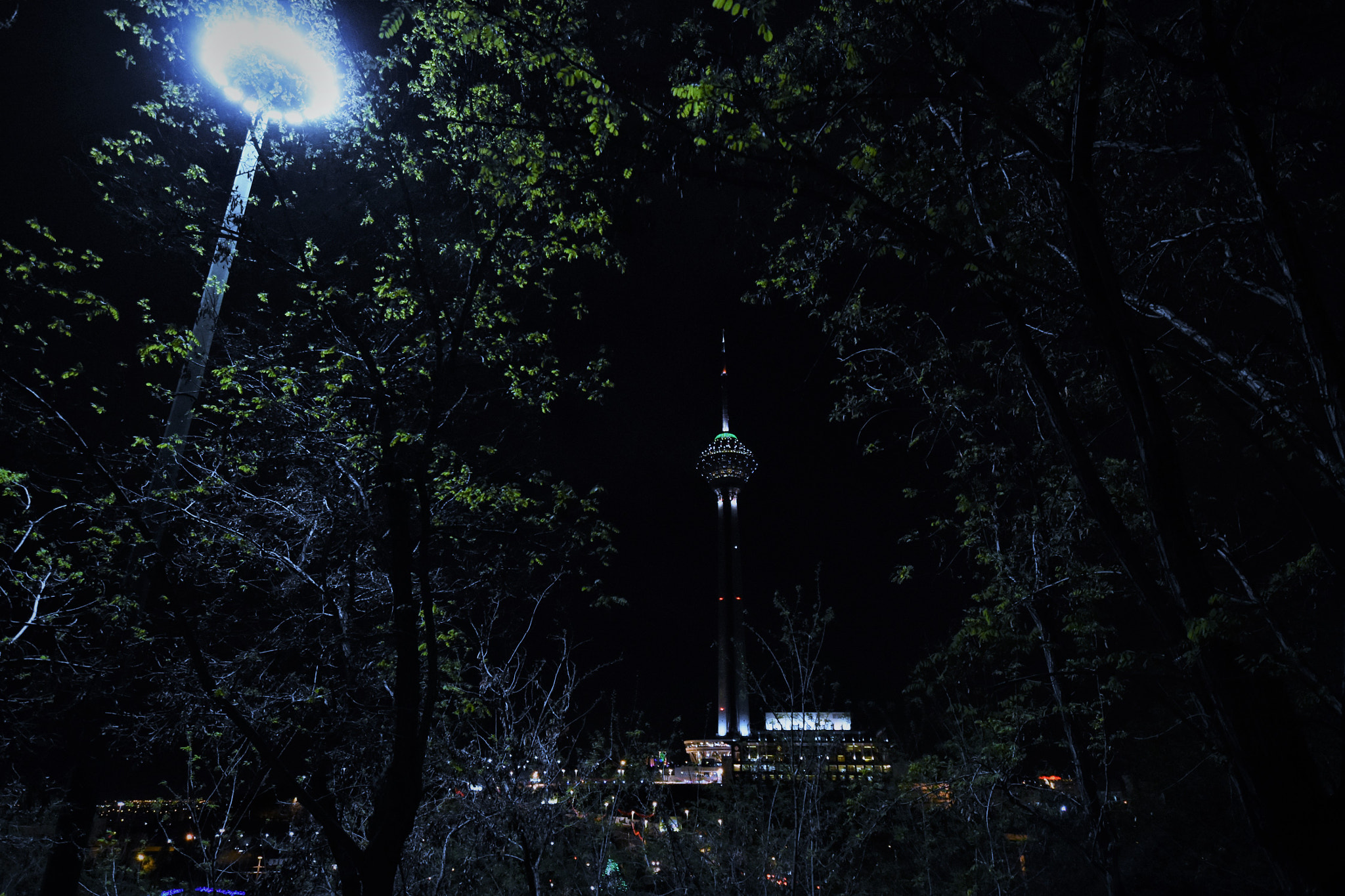 Nikon D7200 sample photo. Lights . . . photography