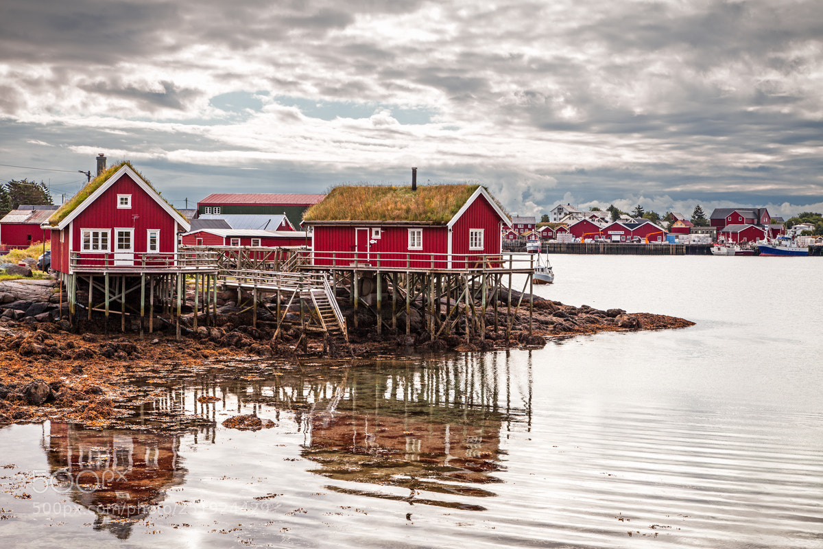 Canon EOS 5D Mark II sample photo. Rorbuer reine photography