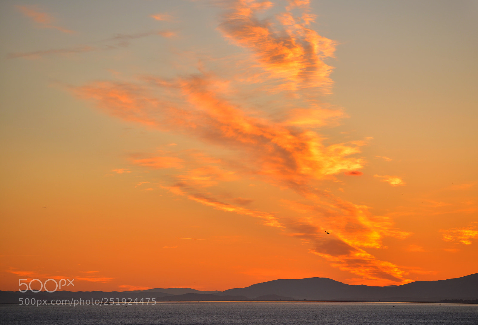 Nikon D5100 sample photo. Fire in the sky photography