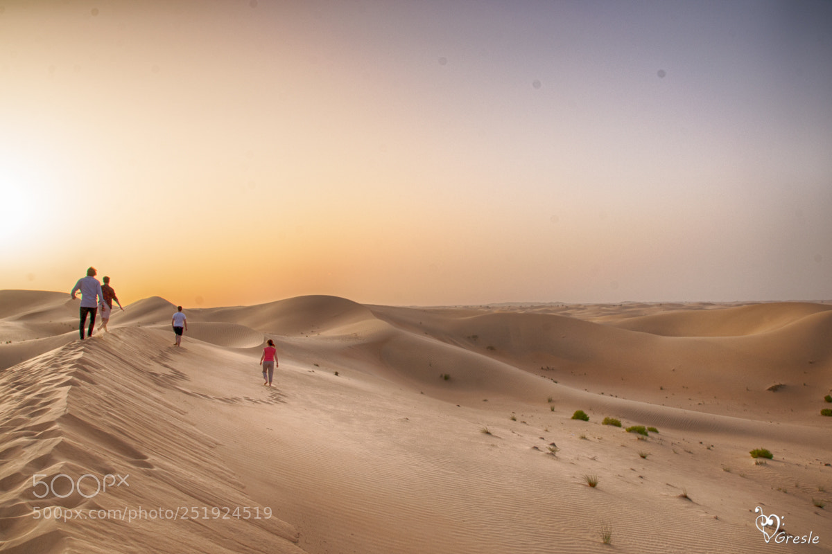 Nikon D610 sample photo. Abu dhabi liwa desert photography