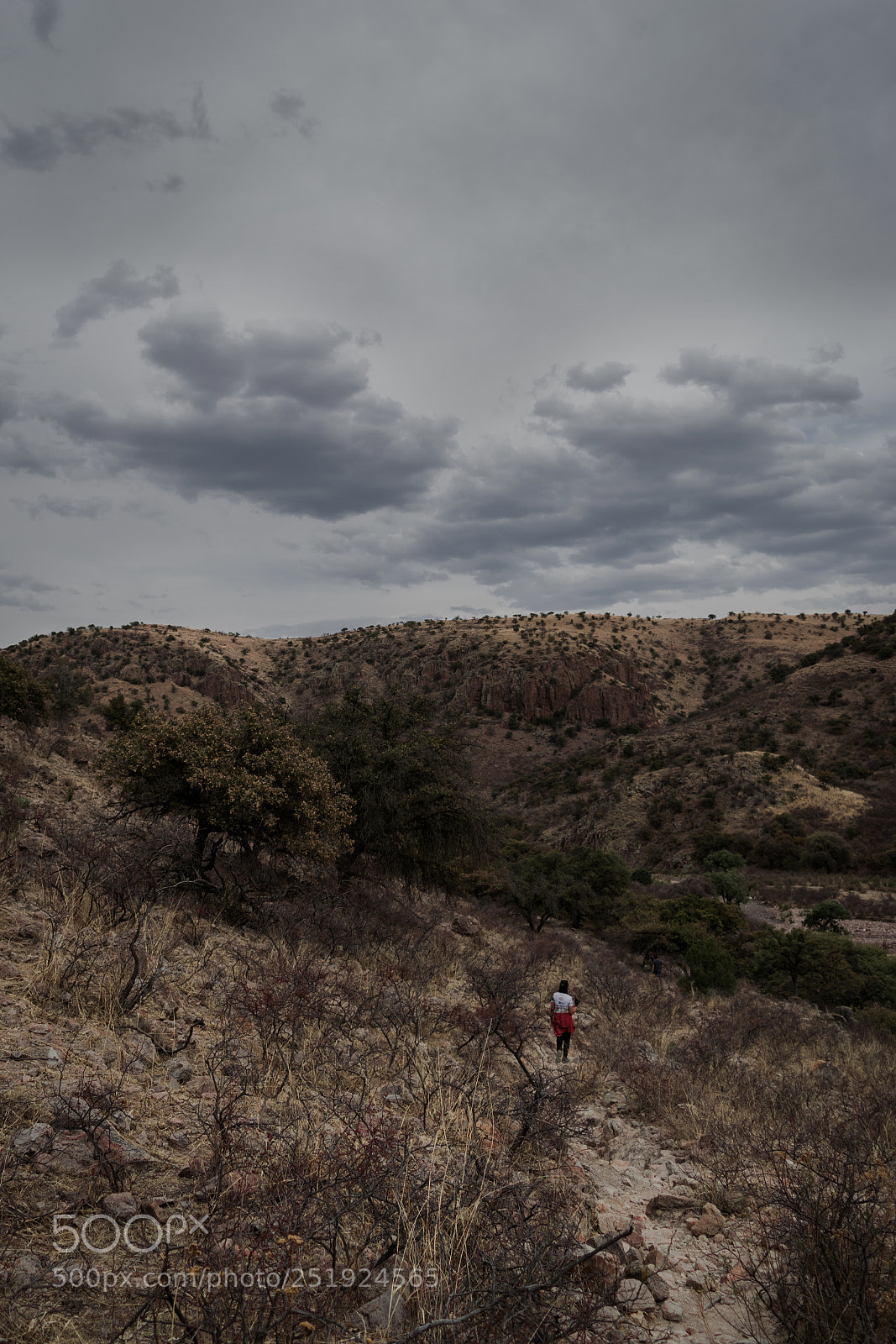 Nikon D3300 sample photo. Chihuahua trail photography
