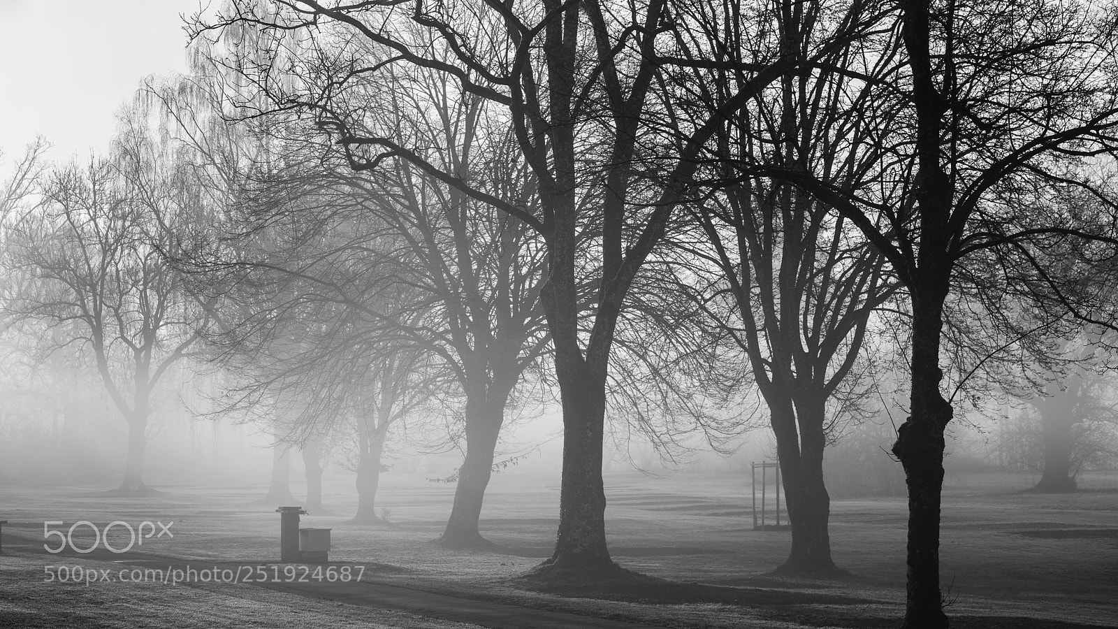 Sony a7R II sample photo. Fog photography