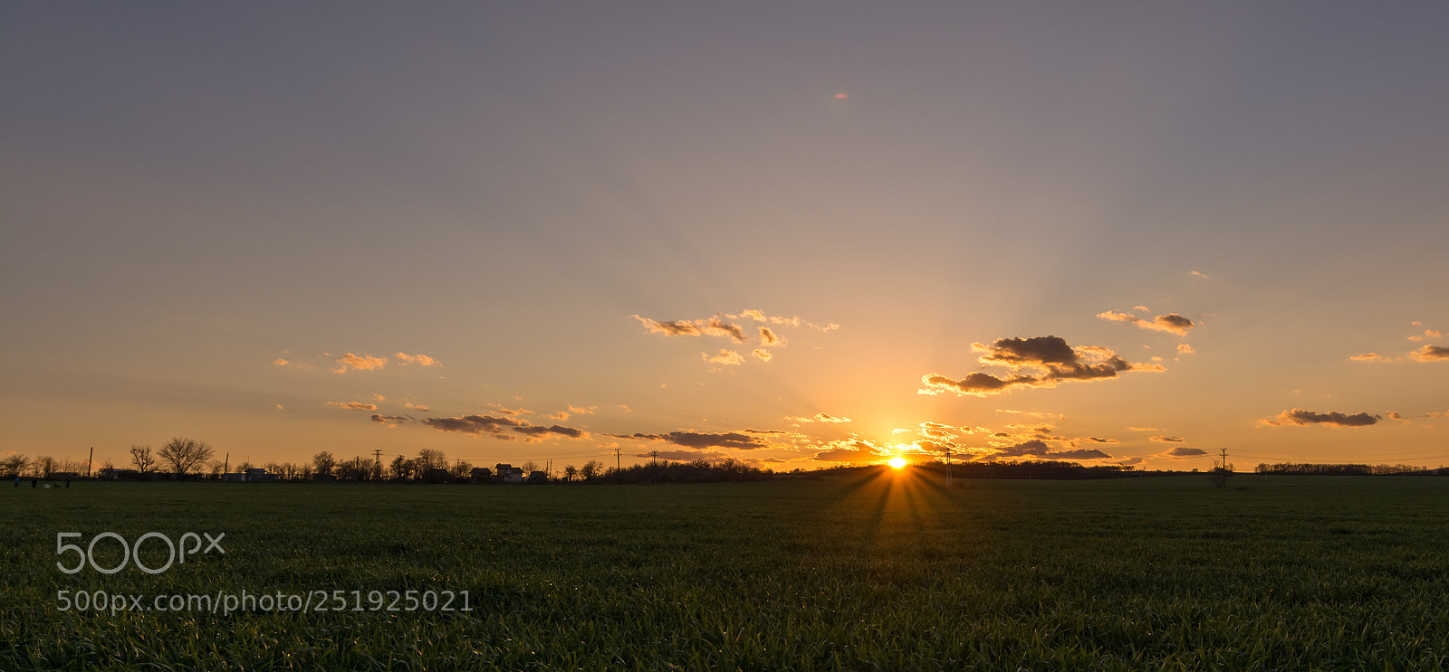 Nikon D5200 sample photo. Gold hour photography