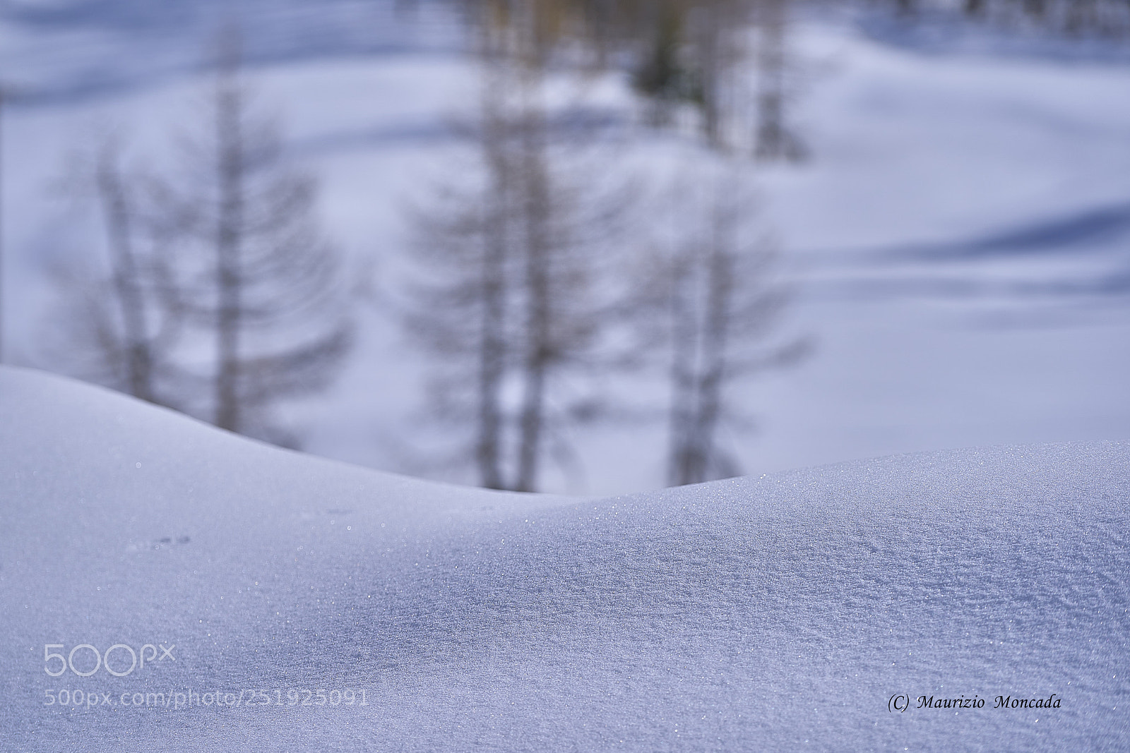 Sony a9 sample photo. Valsavarenche- aosta-italy camosci photography