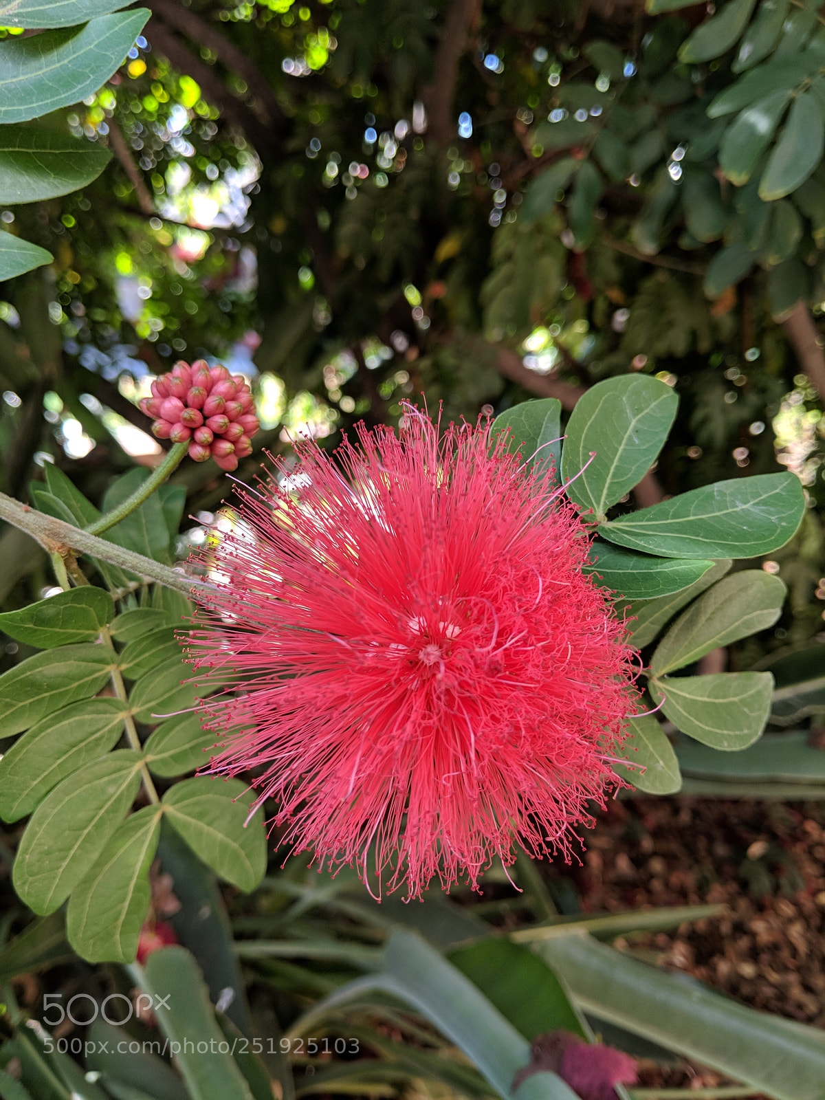 Google Pixel 2 XL sample photo. Untitled photography