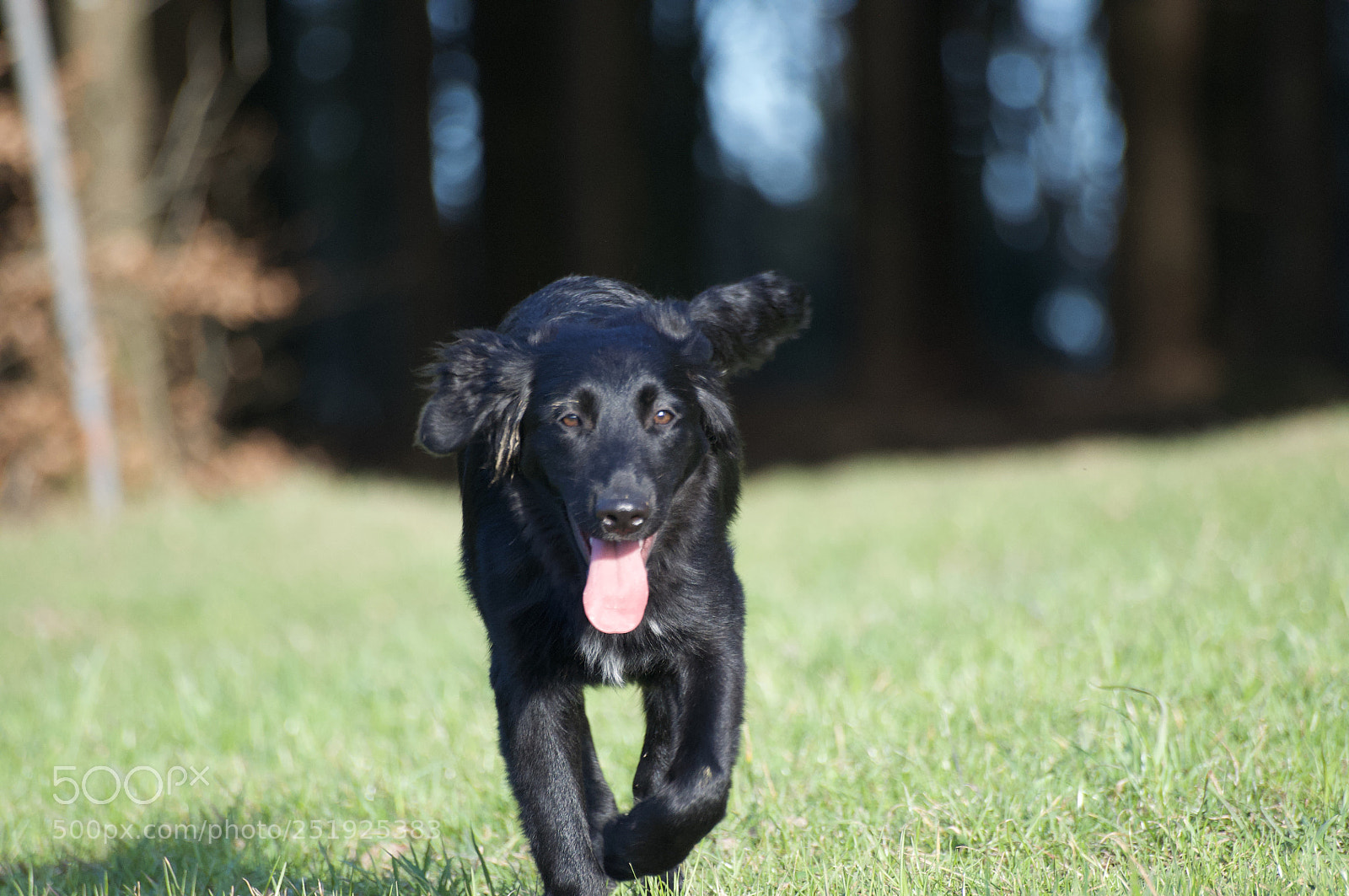 Nikon D5000 sample photo. :-) photography