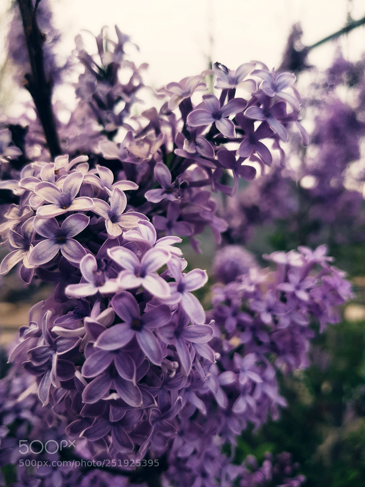 Samsung Galaxy S8 sample photo. Untitled photography