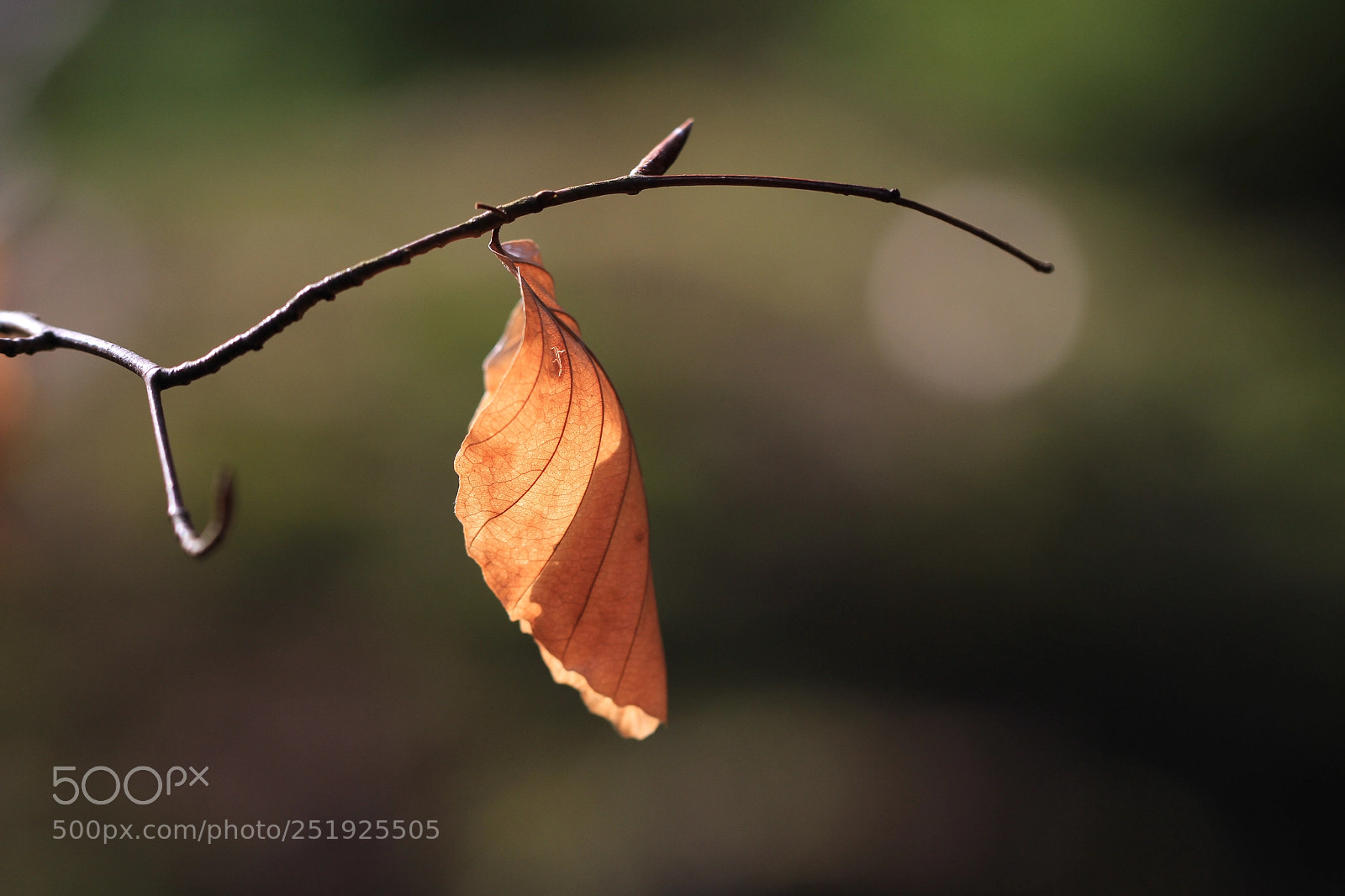 Canon EOS 7D sample photo. All by myself photography