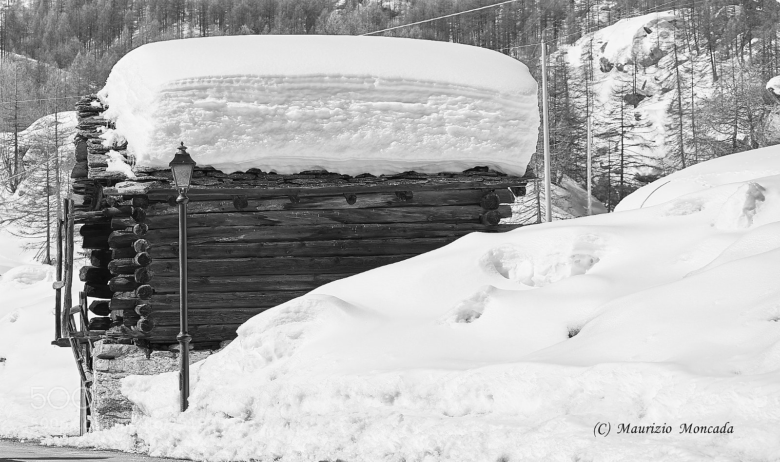 Sony a9 sample photo. Valsavarenche- aosta-italy camosci photography