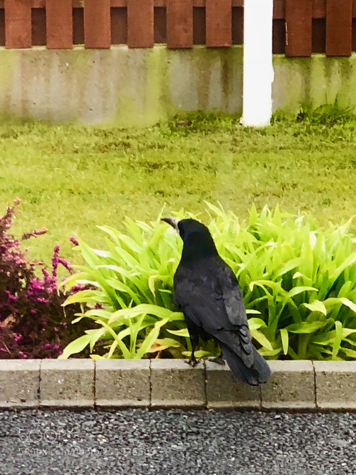 Apple iPhone X sample photo. Untitled photography