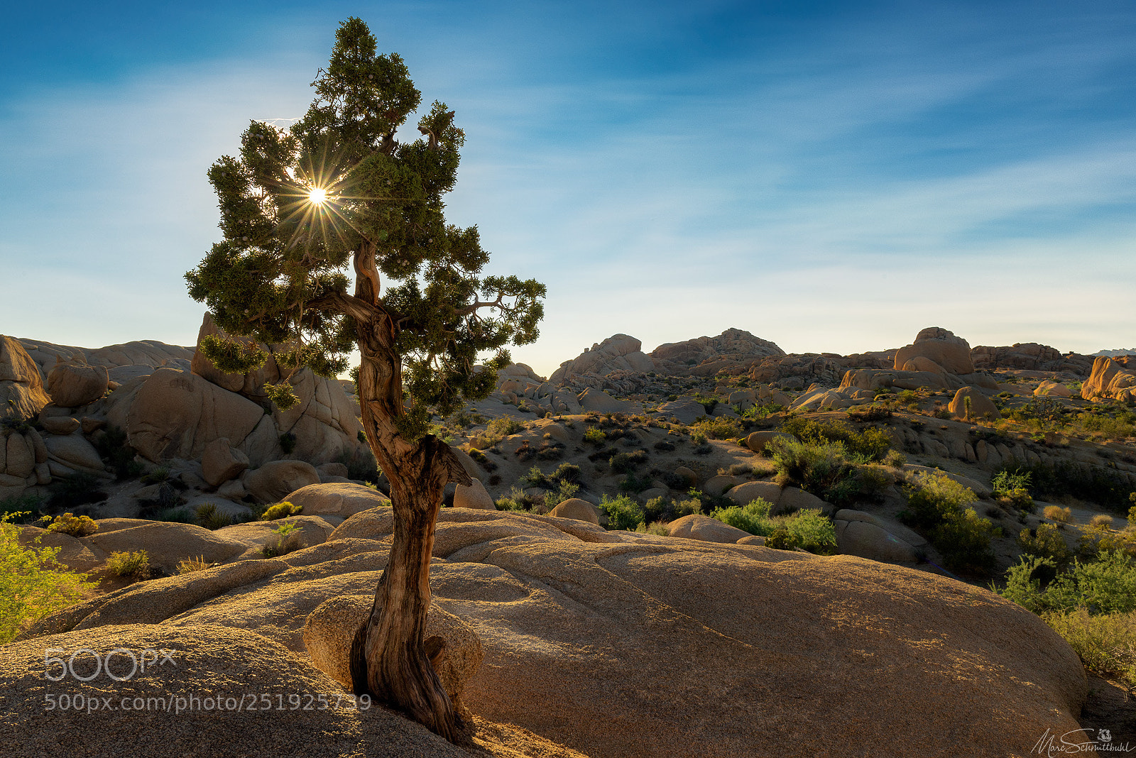 Nikon D810 sample photo. Juniper rocks ! photography