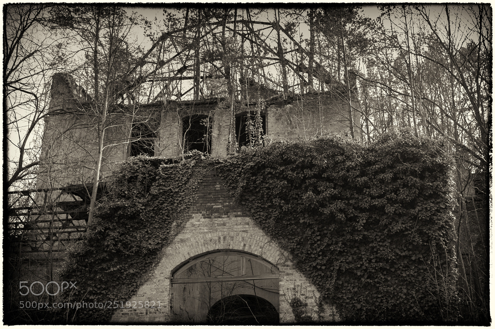 Canon EOS 5D Mark IV sample photo. The old window photography
