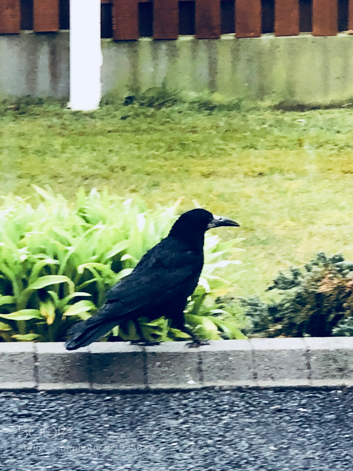 Apple iPhone X sample photo. Untitled photography