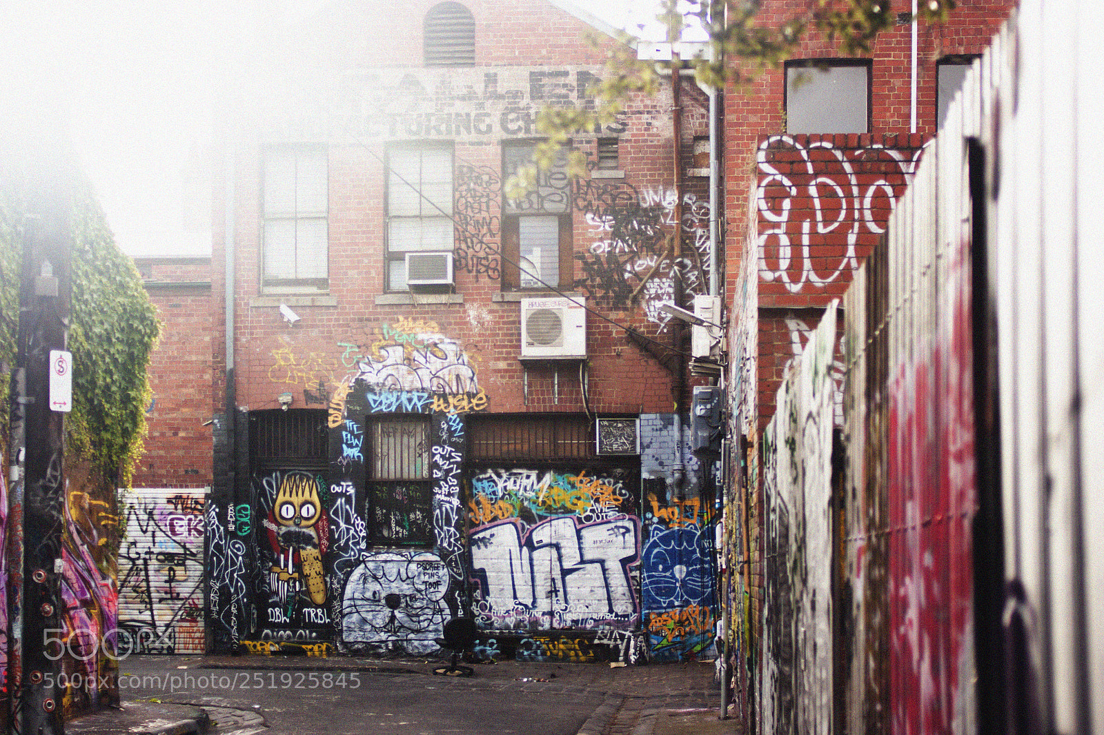 Canon EOS 450D (EOS Rebel XSi / EOS Kiss X2) sample photo. Fitzroy photography