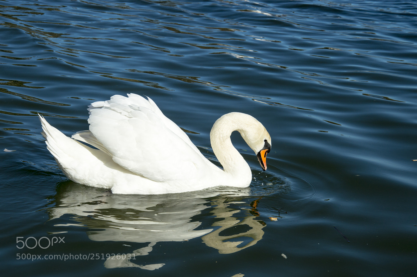 Nikon D3200 sample photo. Húsvéthétfő photography