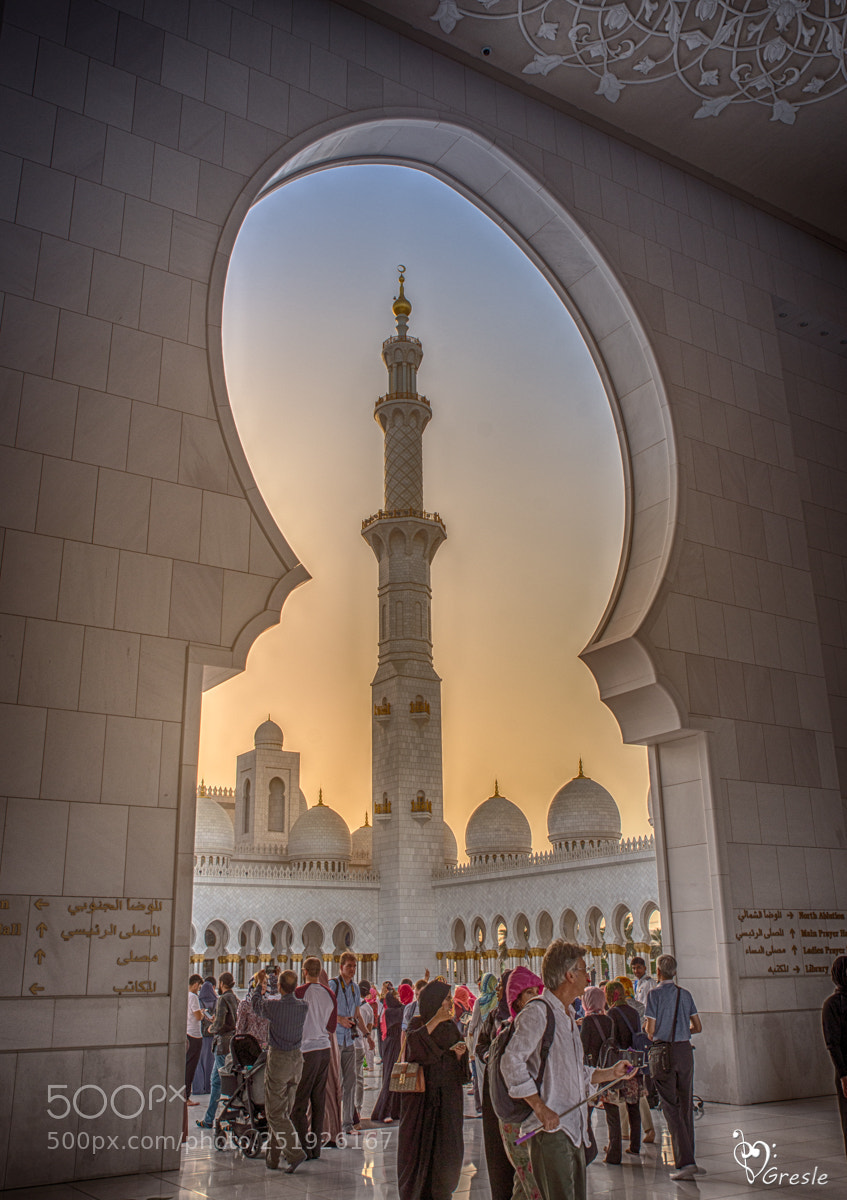 Nikon D610 sample photo. Abu dhabi sjeik zayed photography