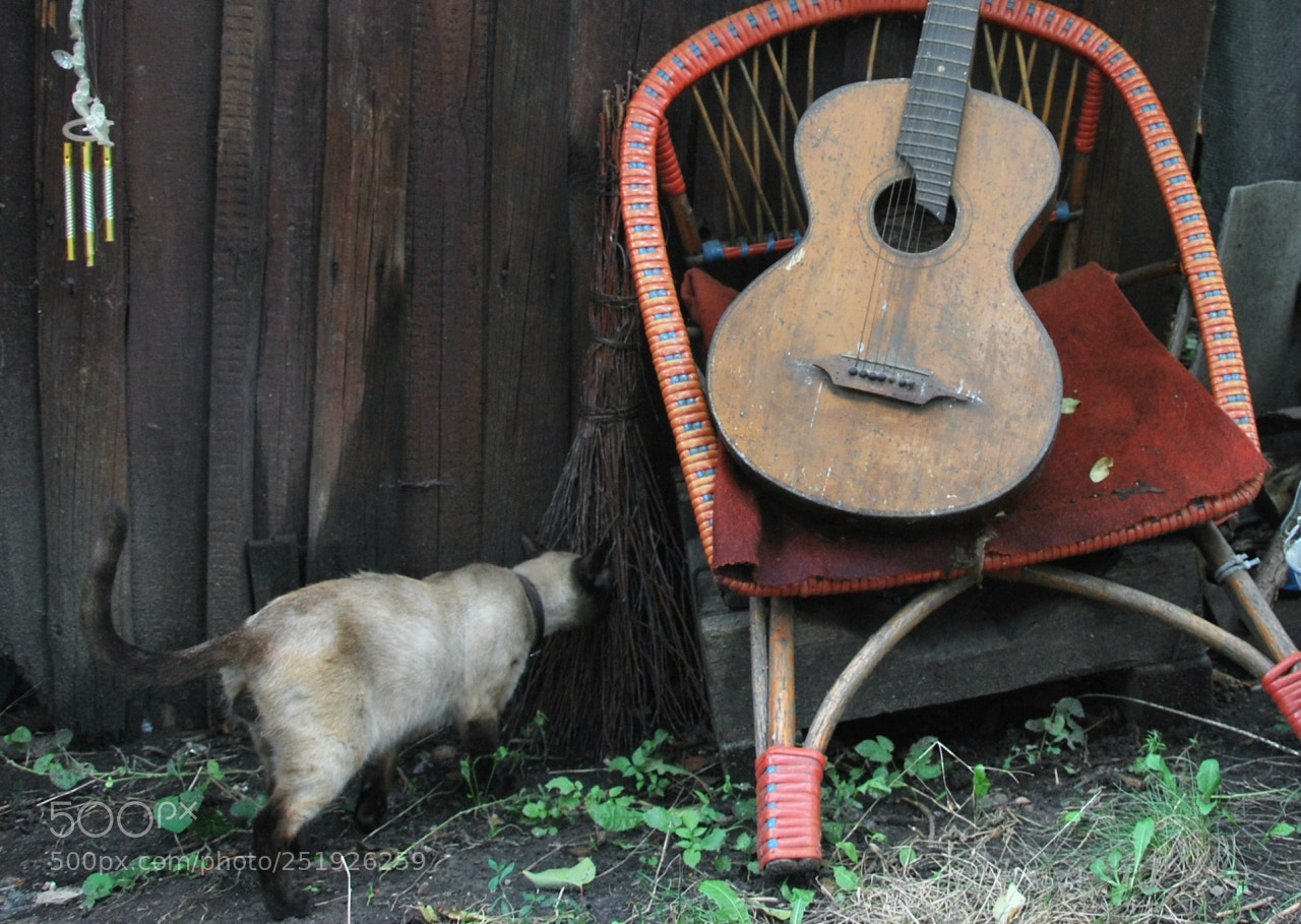 Nikon D60 sample photo. Bbdfbc orig photography