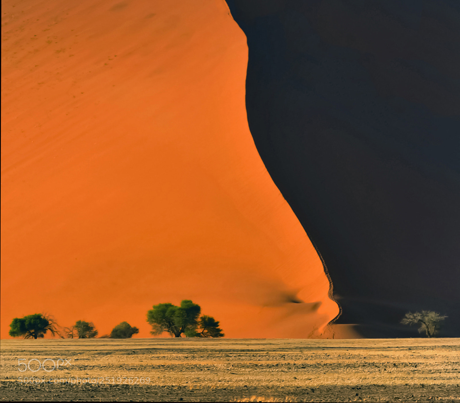 Nikon D3 sample photo. Dune 47,namib photography