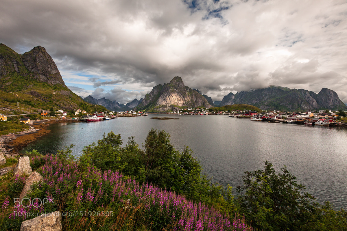 Canon EOS 5D Mark II sample photo. Reine photography