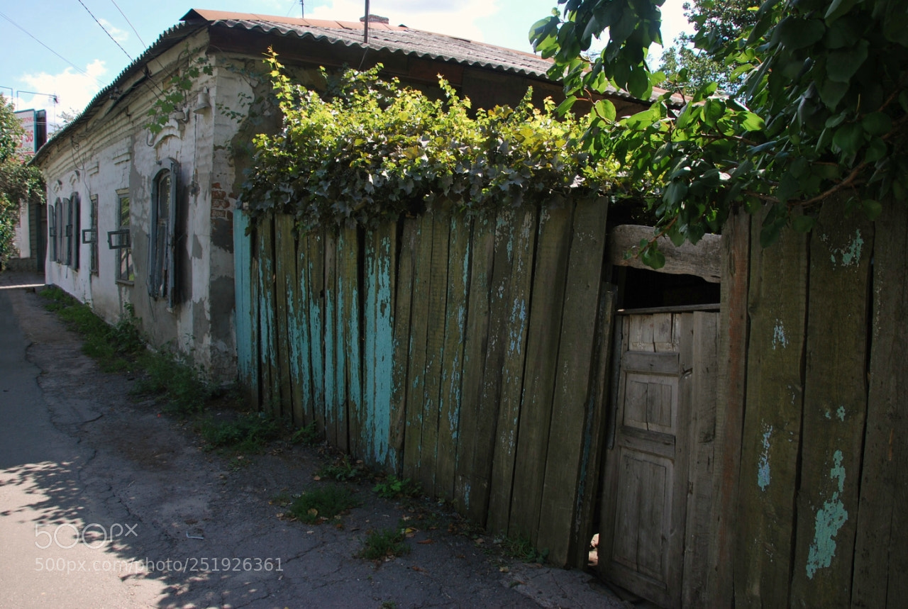Nikon D60 sample photo. Cfbfborig photography