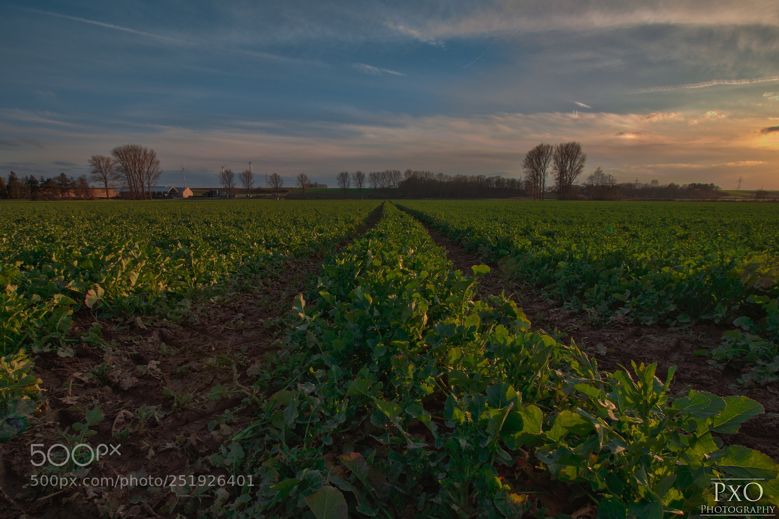 Canon EOS 77D (EOS 9000D / EOS 770D) sample photo. Sunset over brachelen. photography