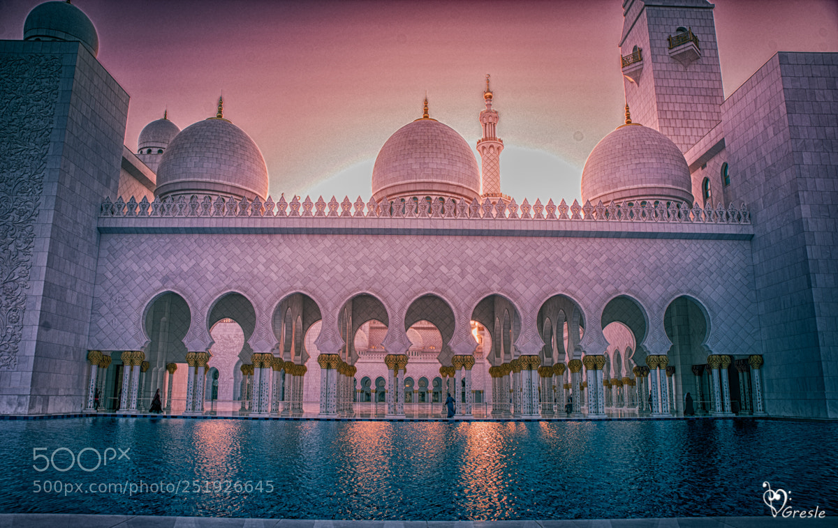 Nikon D610 sample photo. Abu dhabi sjeik zayed photography