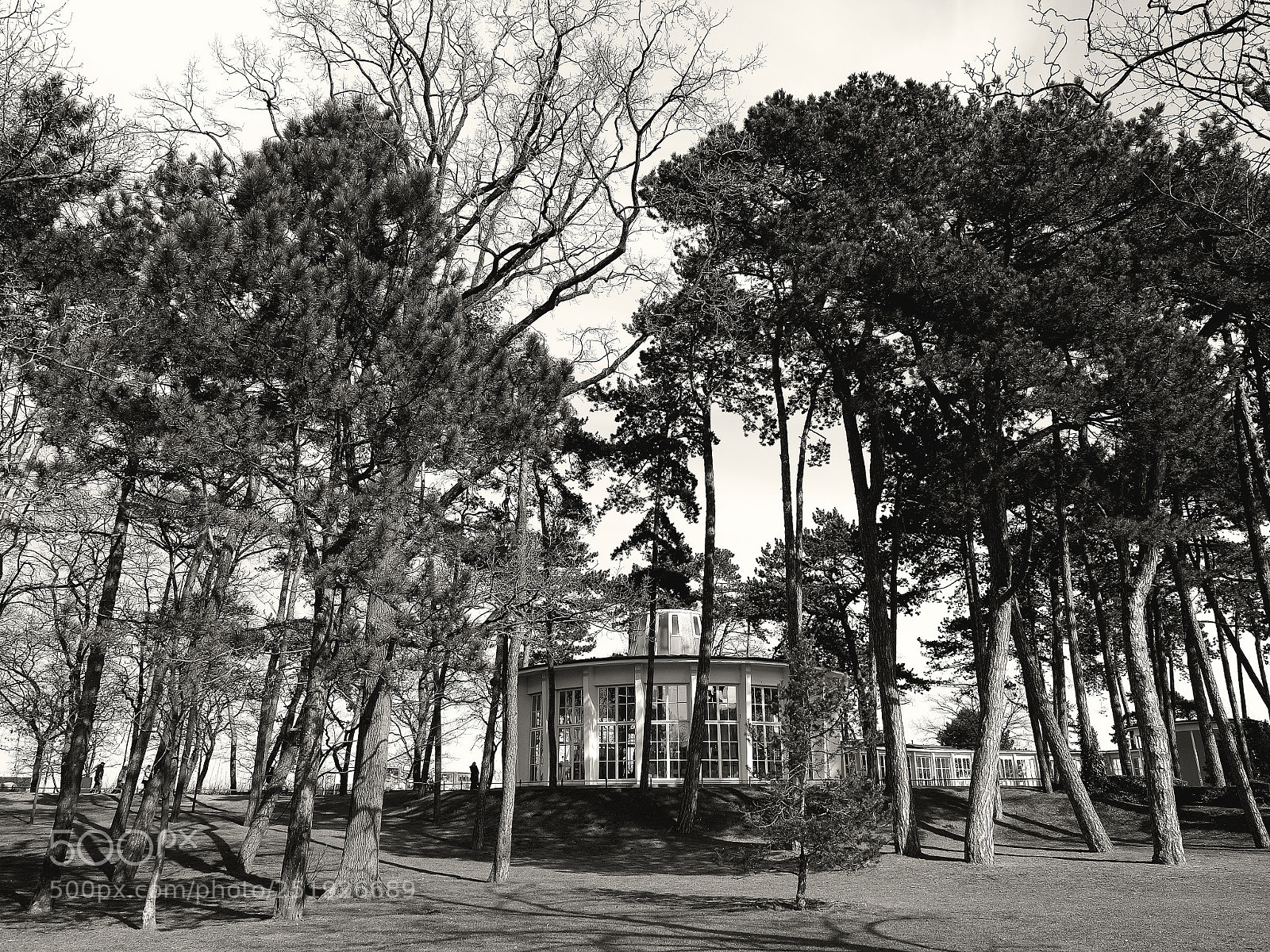 Olympus OM-D E-M5 II sample photo. A park photography