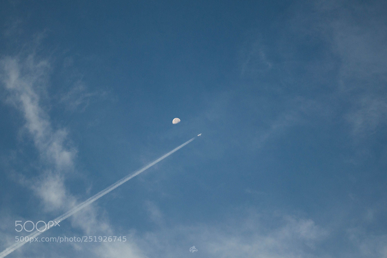 Nikon D3100 sample photo. Untitled photography