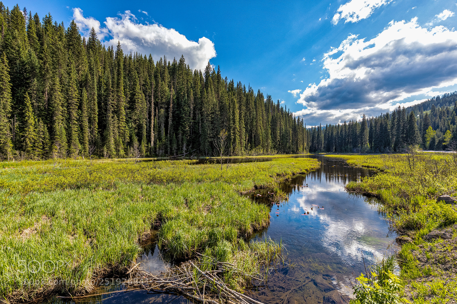 Canon EOS 5D Mark IV sample photo. ...somewhere in british columbia photography
