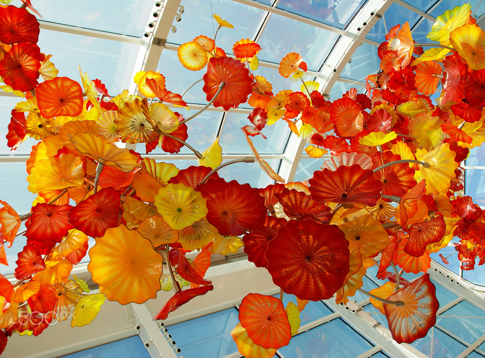 Nikon D80 sample photo. Chihuly garden photography