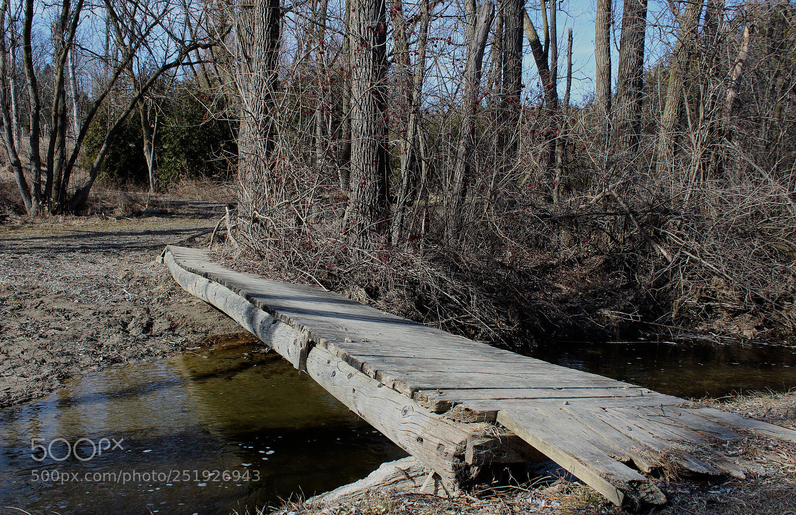 Canon EOS 1200D (EOS Rebel T5 / EOS Kiss X70 / EOS Hi) sample photo. Old wooden bridge photography
