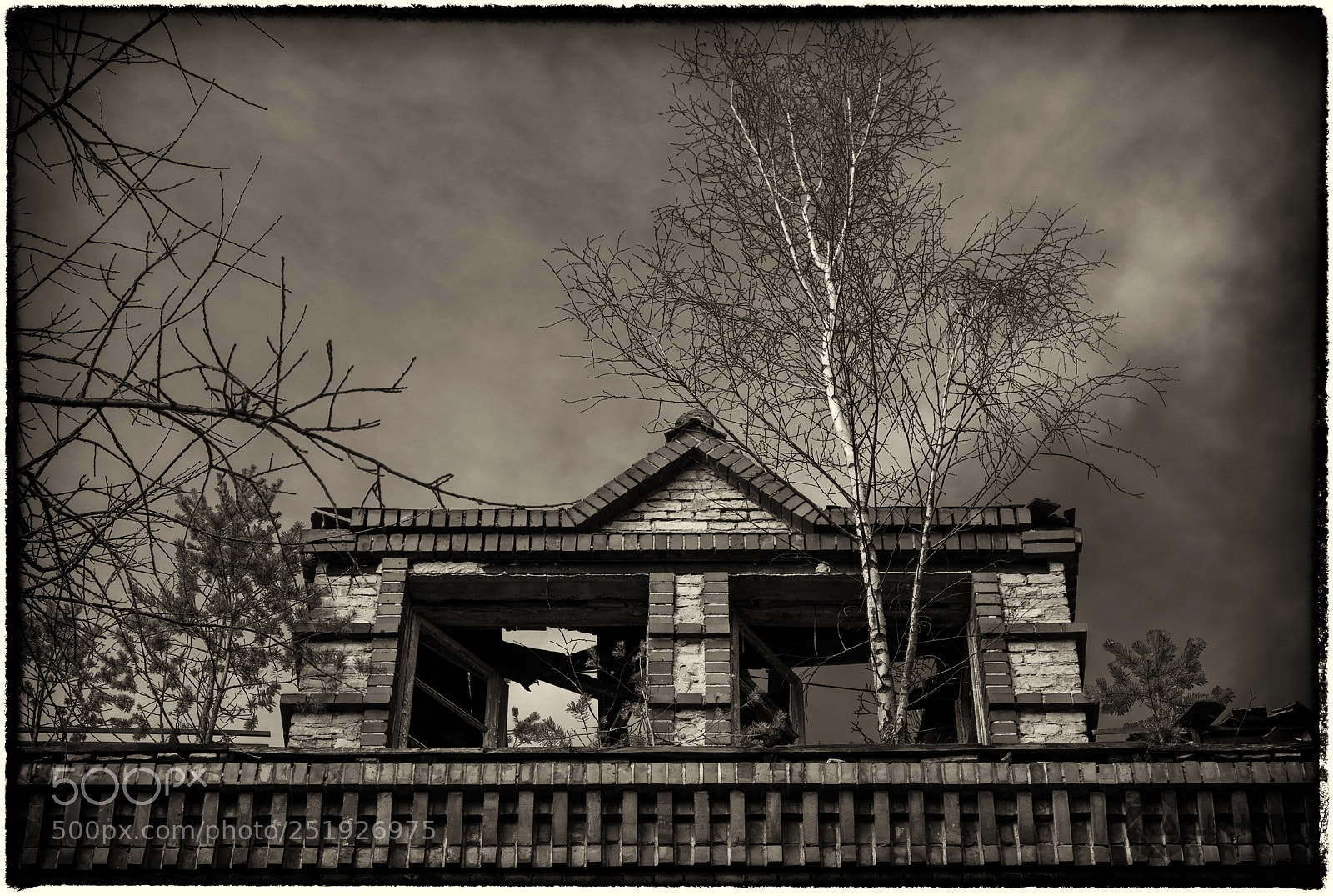 Canon EOS 5D Mark IV sample photo. Windows without glas photography