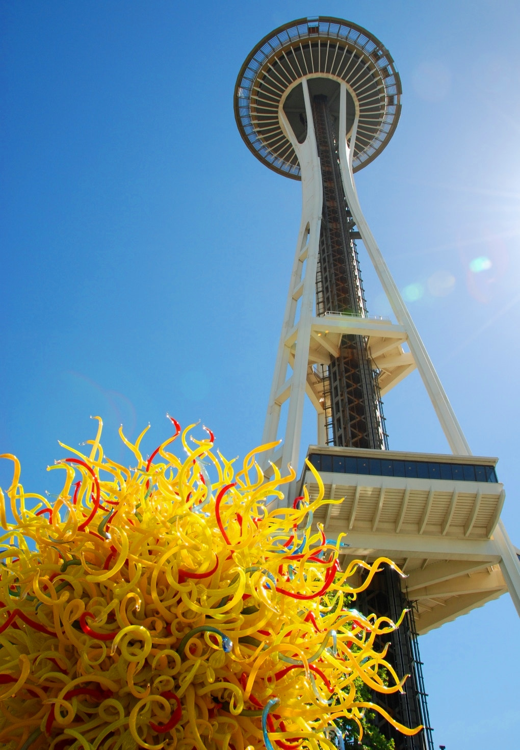 Nikon D80 sample photo. Chihuly+needle photography