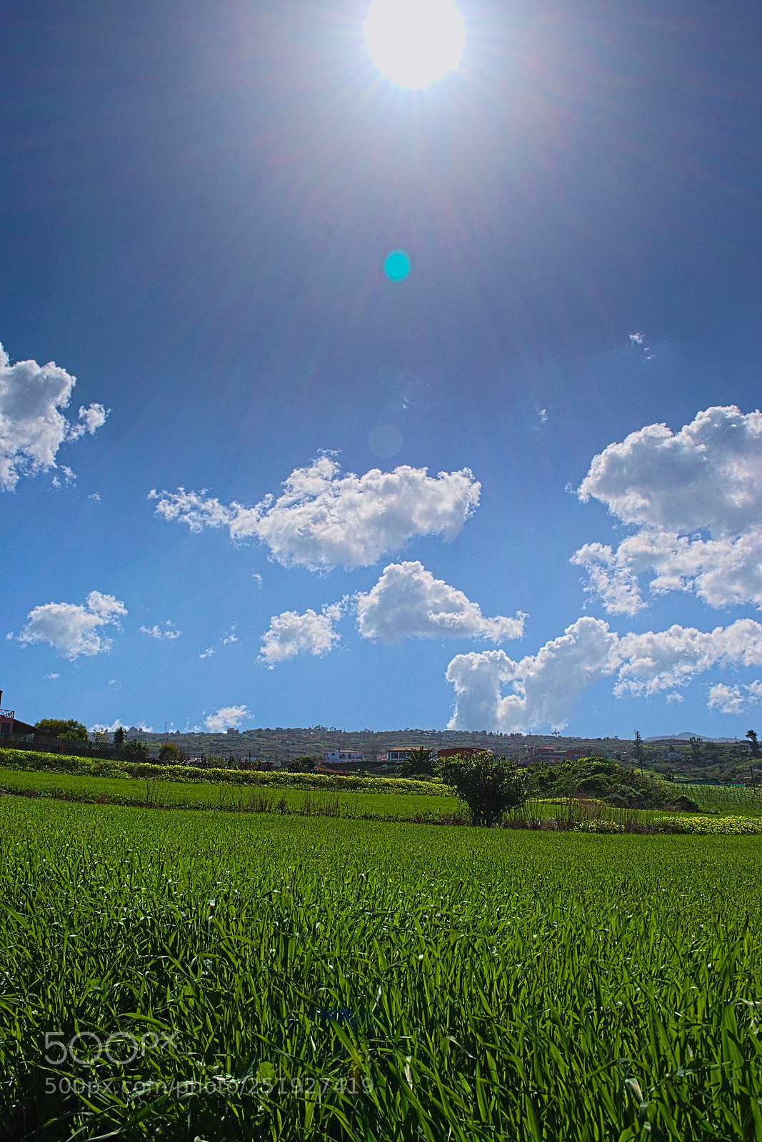Nikon D3300 sample photo. Spring photography