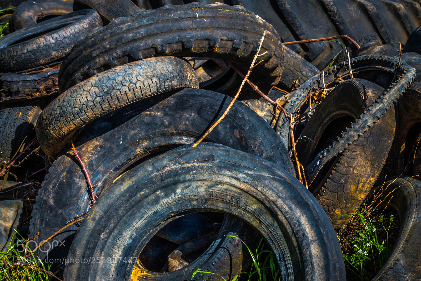 Canon EOS 70D sample photo. Sobre ruedas photography