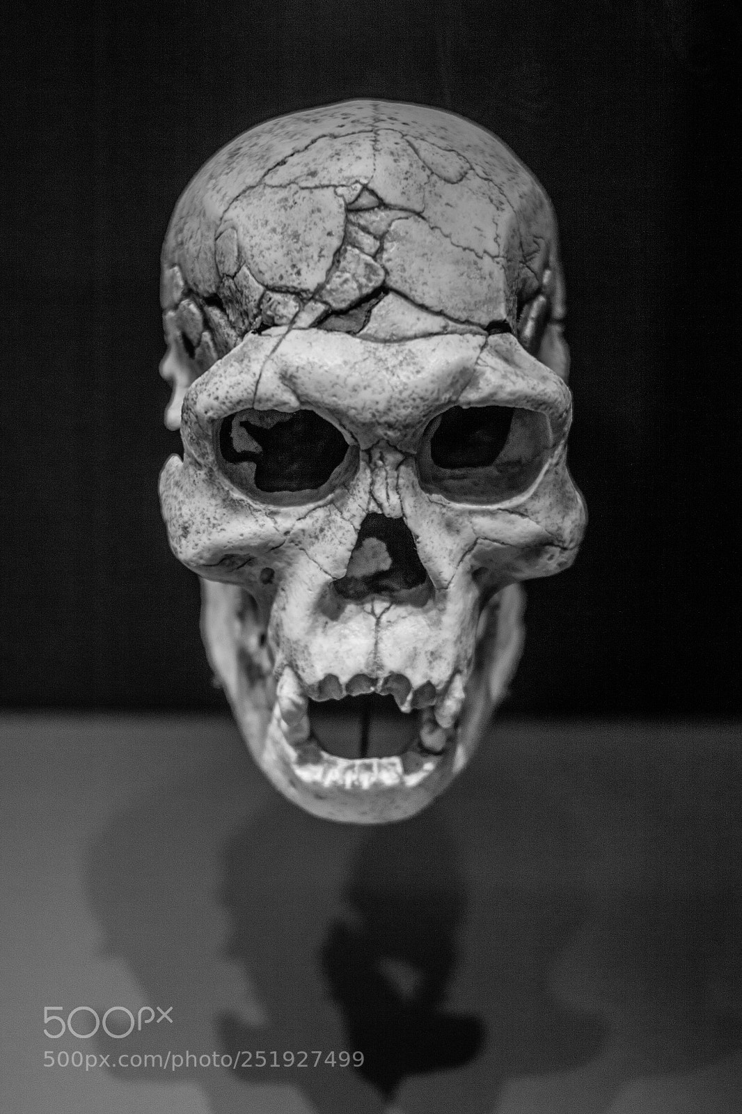 Canon EOS 50D sample photo. Antropos photography