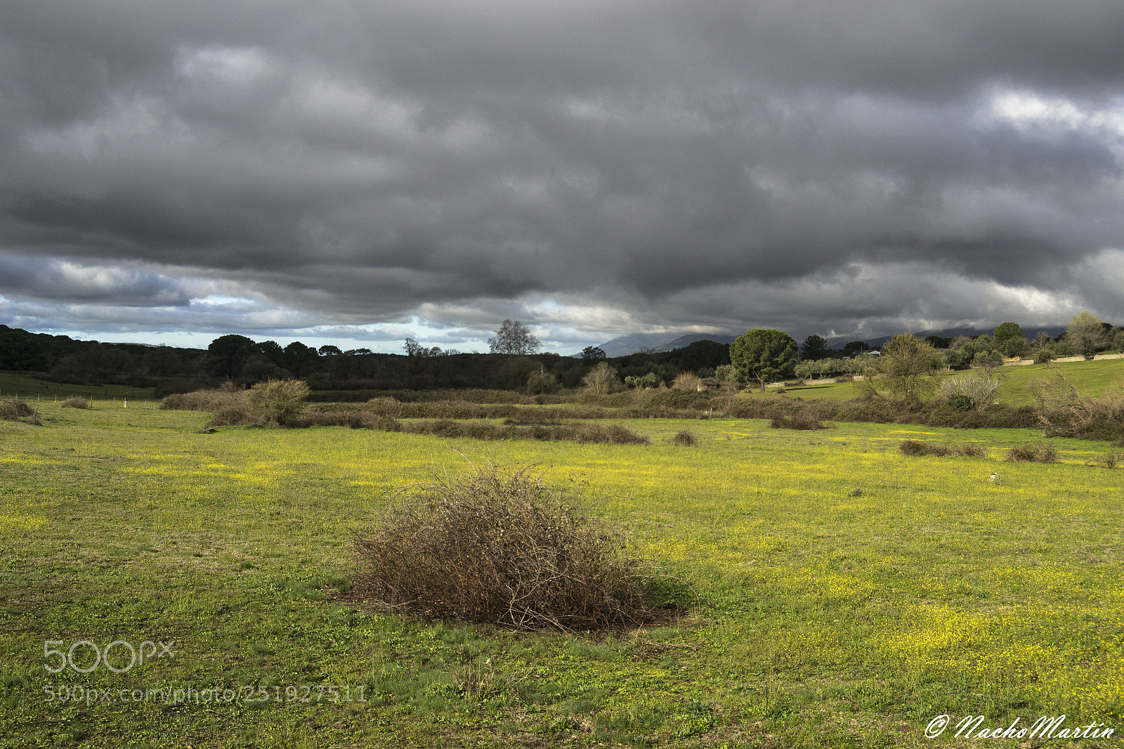 Nikon D3100 sample photo. La pradera photography