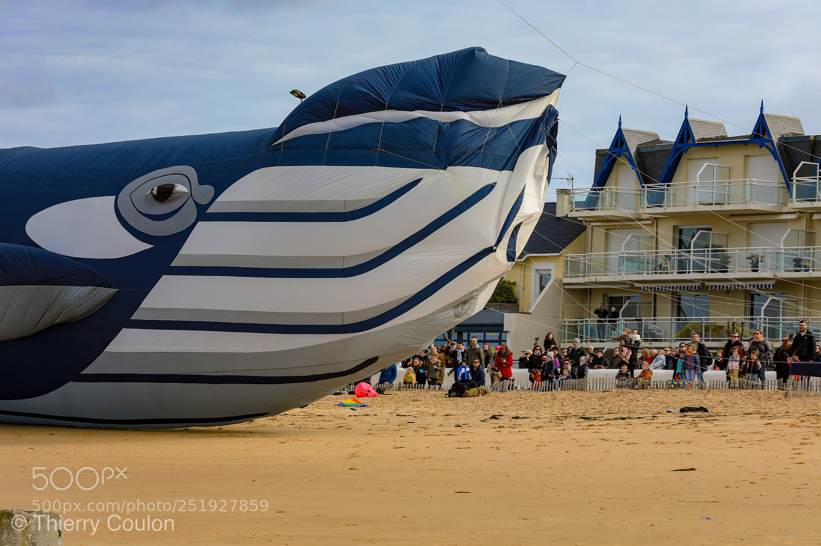 Canon EOS 5D Mark IV sample photo. Une baleine échouée  photography
