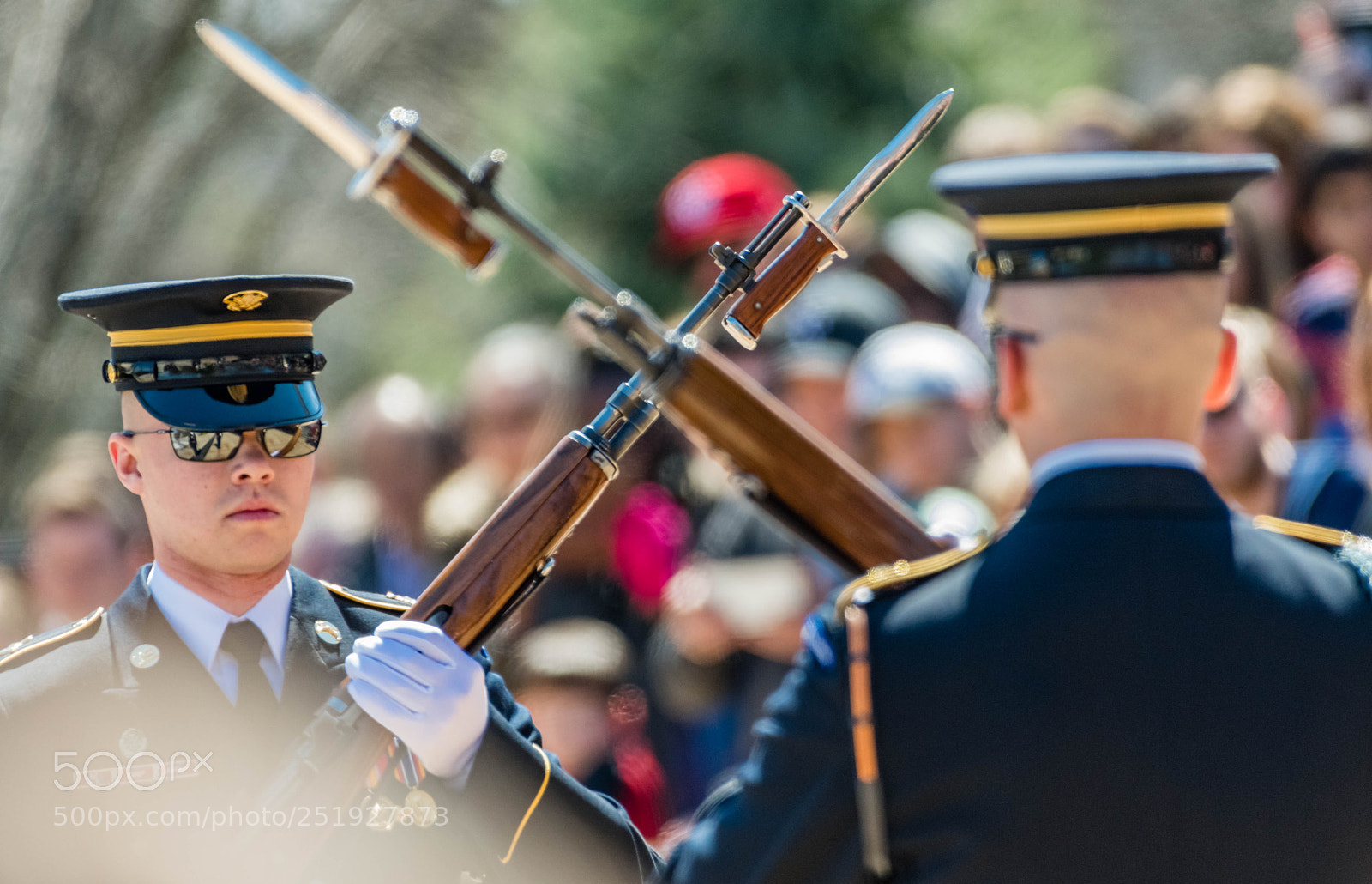 Nikon D500 sample photo. Changing guard photography