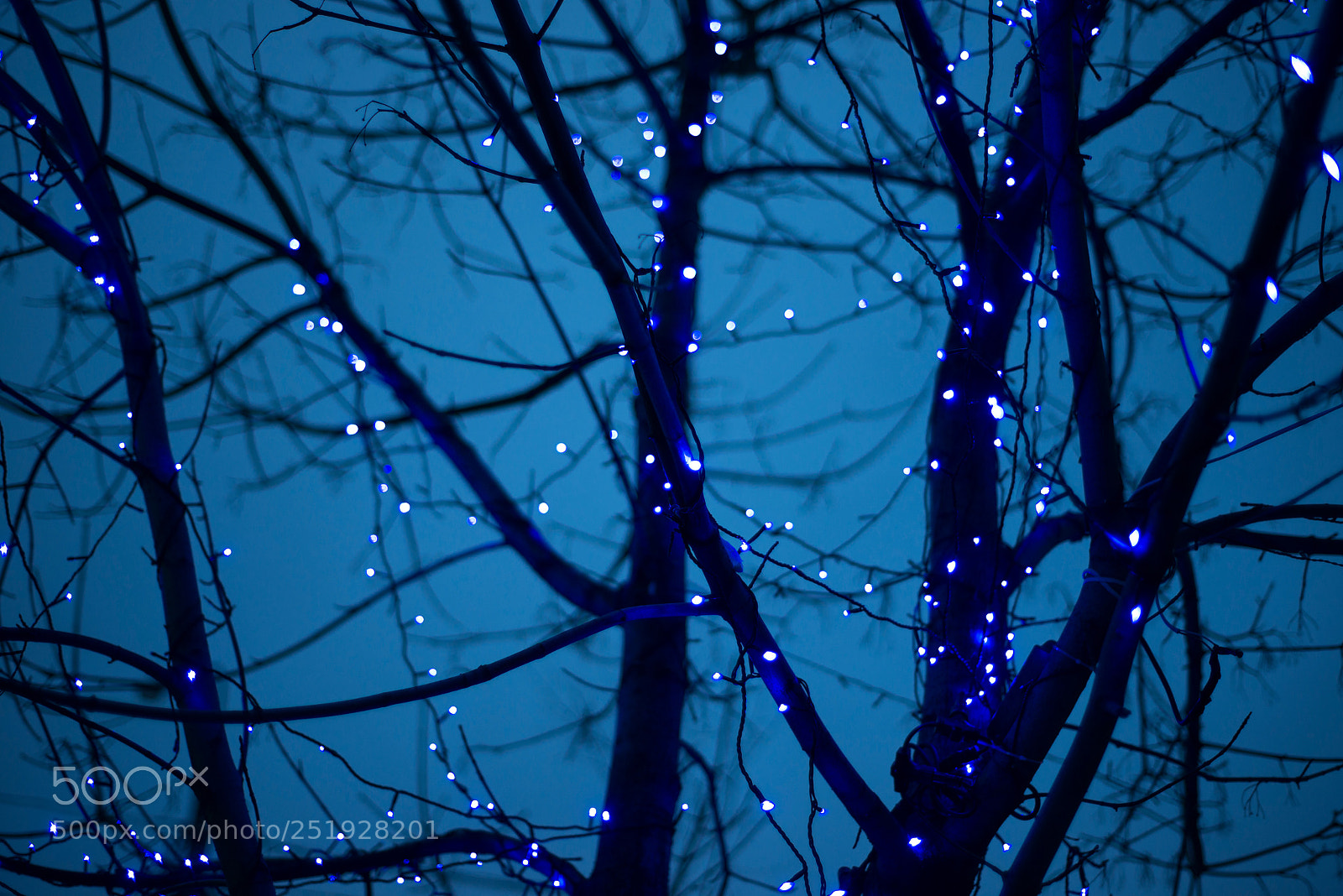 Nikon D800E sample photo. Lights photography