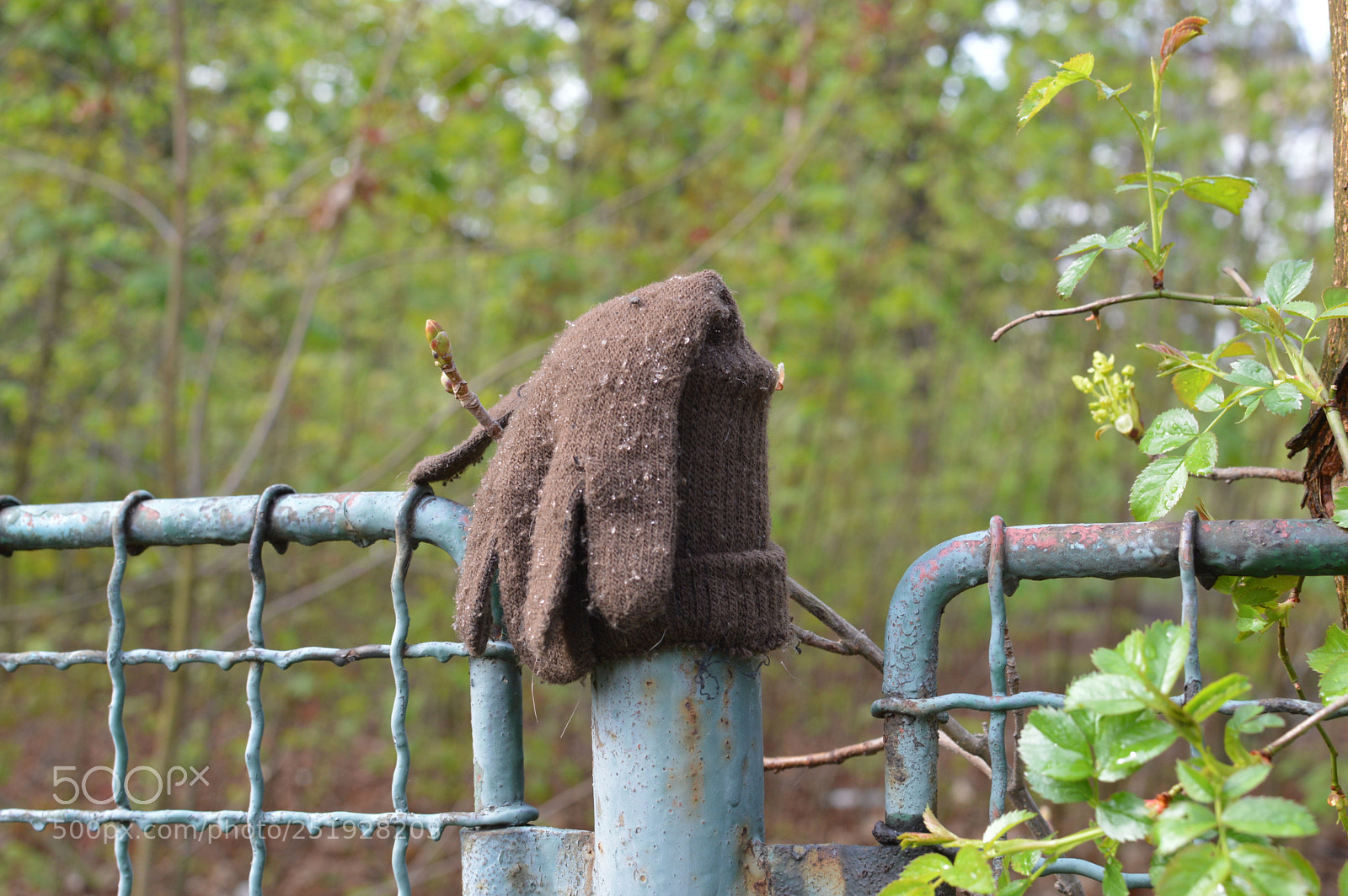 Nikon D3200 + Nikon AF-S DX Nikkor 35mm F1.8G sample photo. Glove in time photography