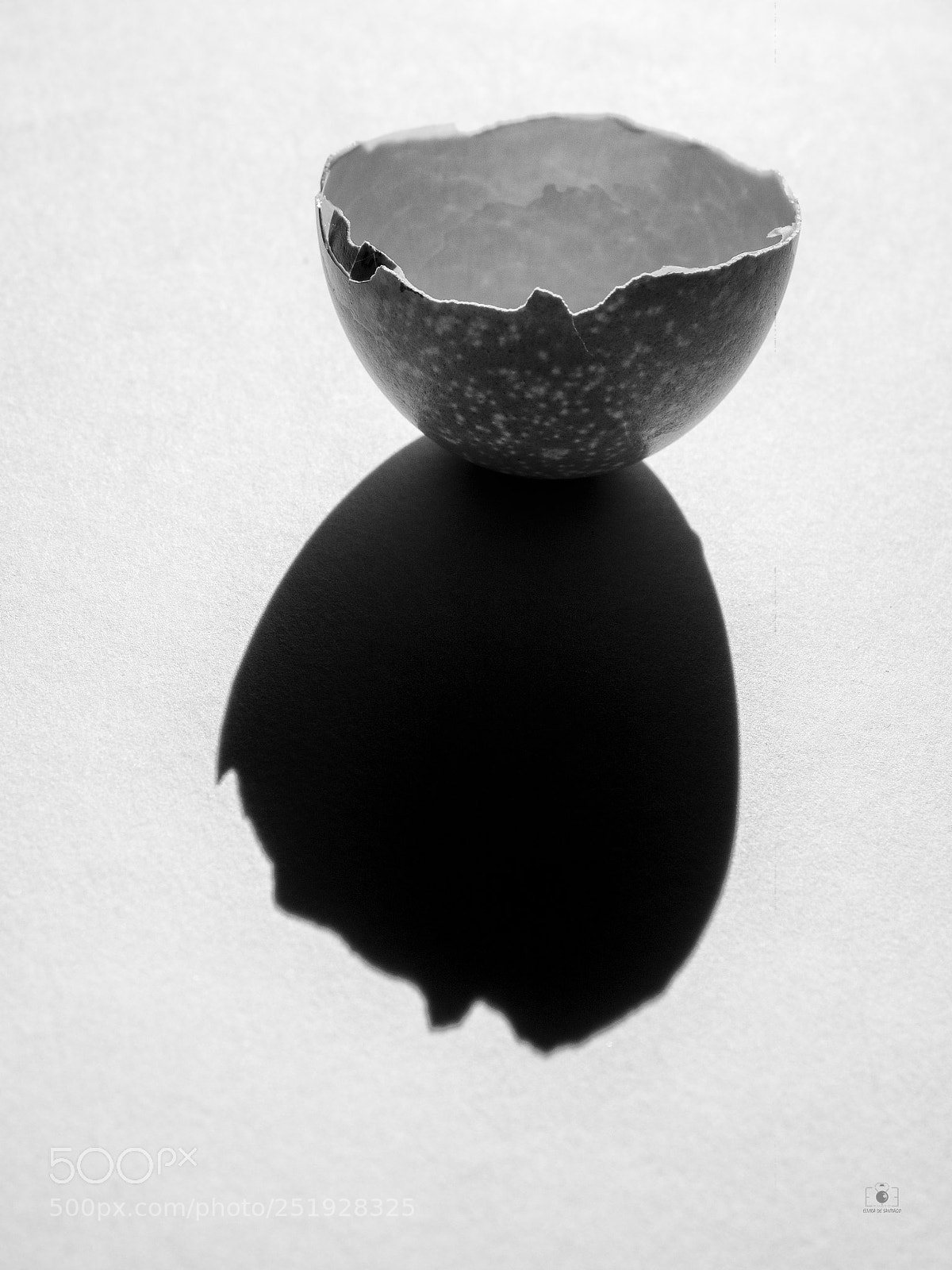 Olympus OM-D E-M1 sample photo. Eggshell photography