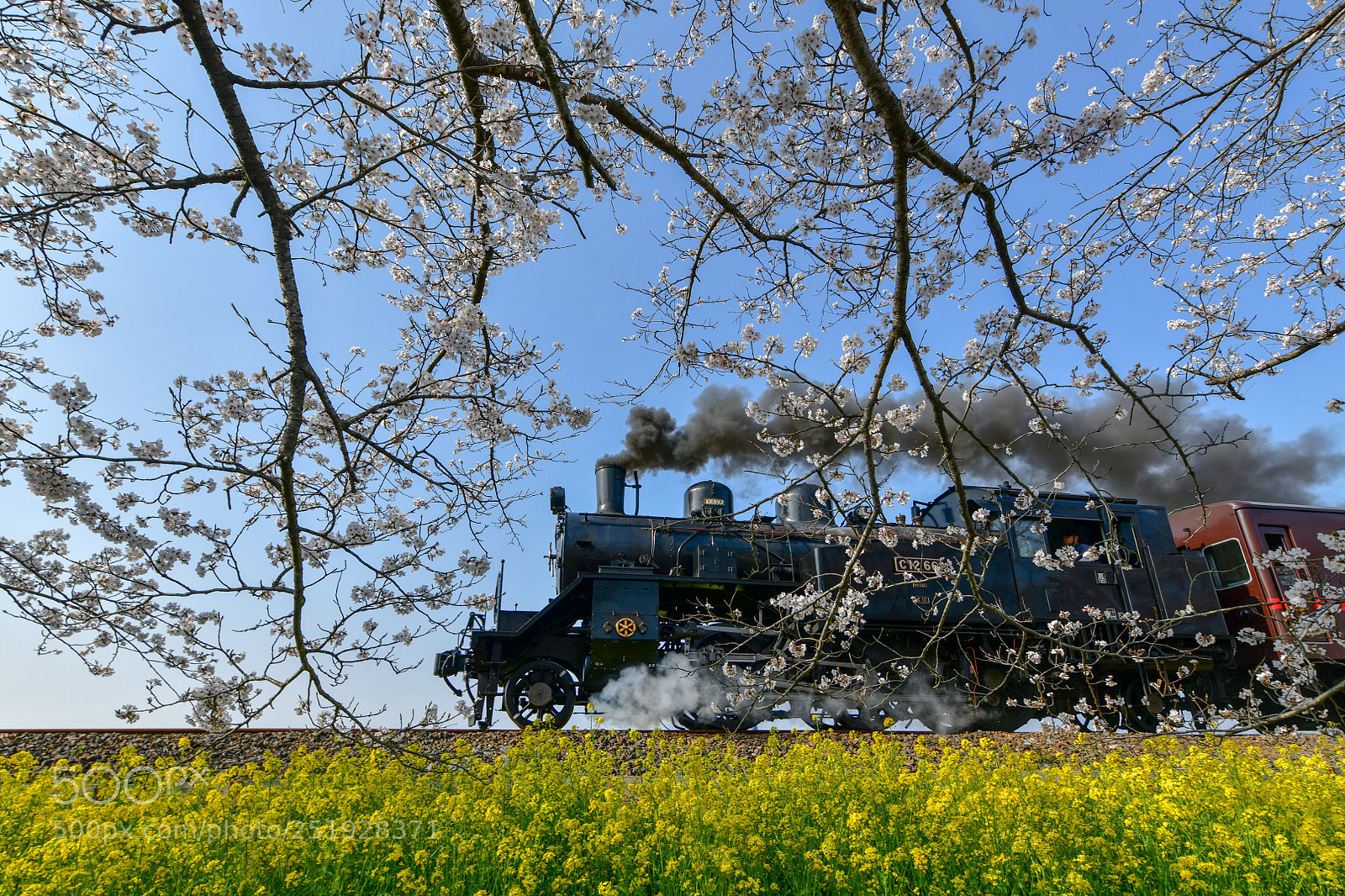 Nikon D850 sample photo. Steam locomotive photography