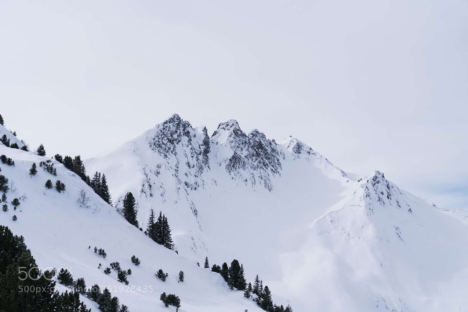 Sony a7R II sample photo. Tops photography